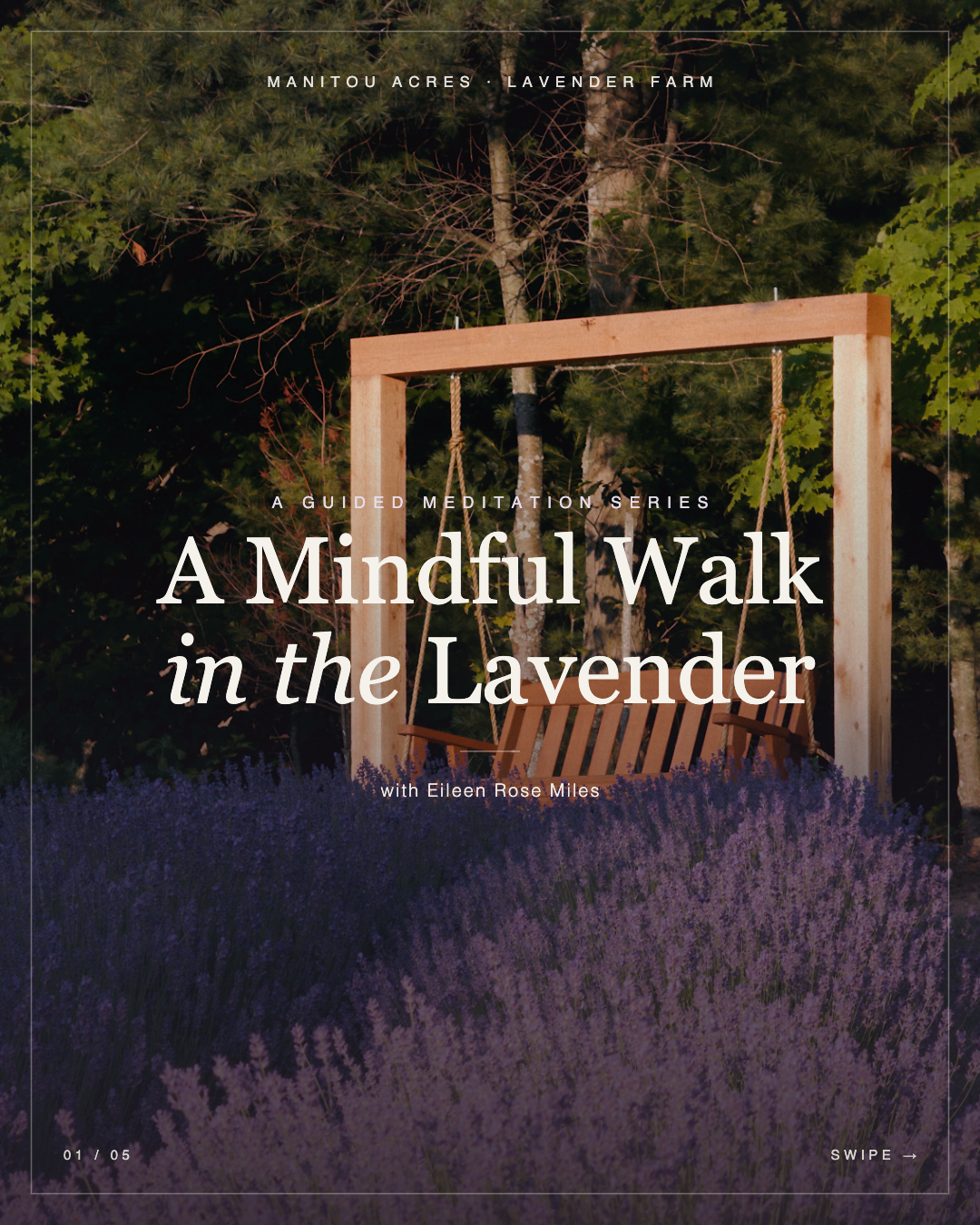 Mindful Walk + Meditation in the Lavender