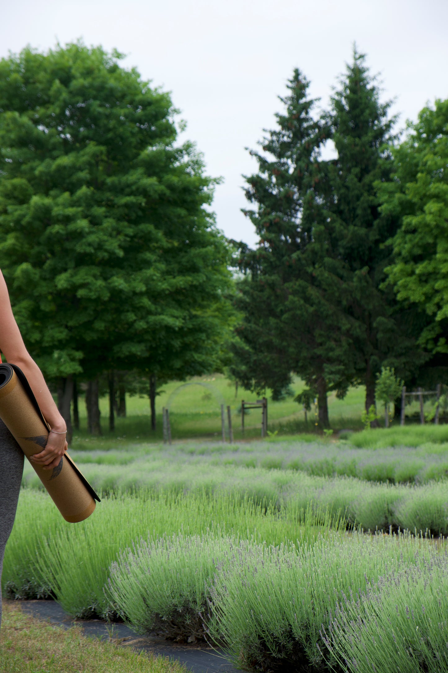 Yoga in the Lavender (Thurs PM)