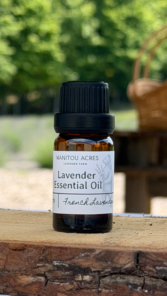 Essential Oil - French Lavender